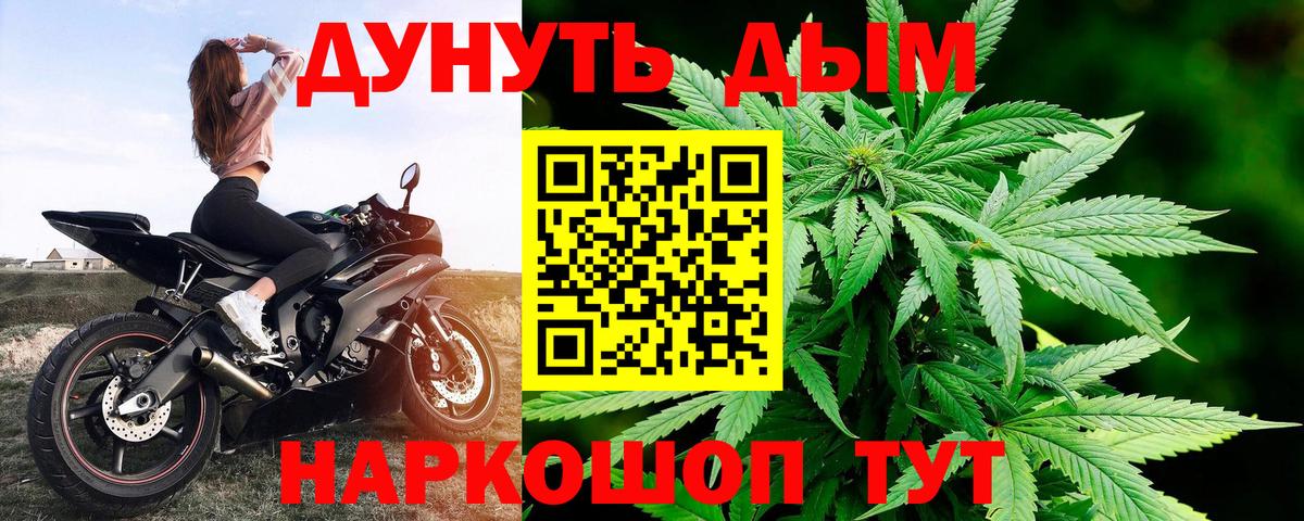 Кольчугино  МАРИХУАНА конопля  Канабис ГИДРОПОН  Бошки марихуана конопля  Марихуана семена  Вход с VPN 